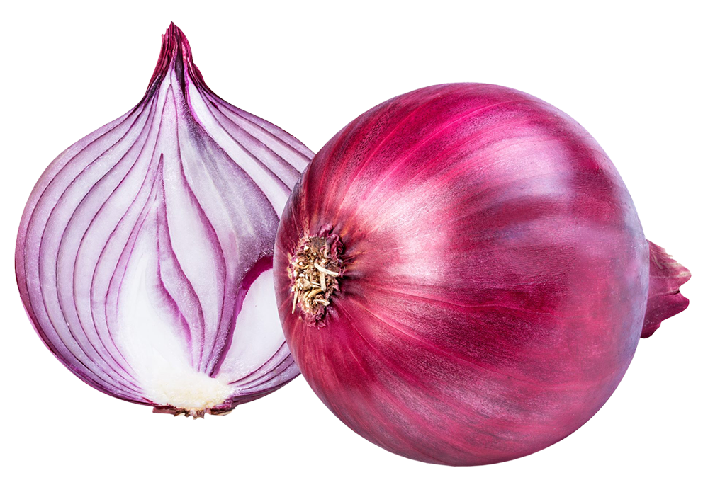 Onions, fresh Onions png, Onions png image, Onions transparent png image, Onions png full hd images download